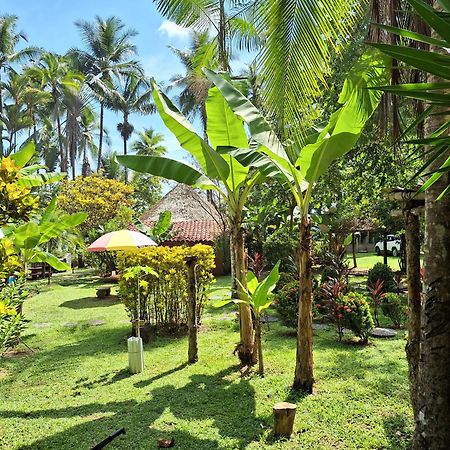 Hotel Rancho Burica à Pavones  Extérieur photo