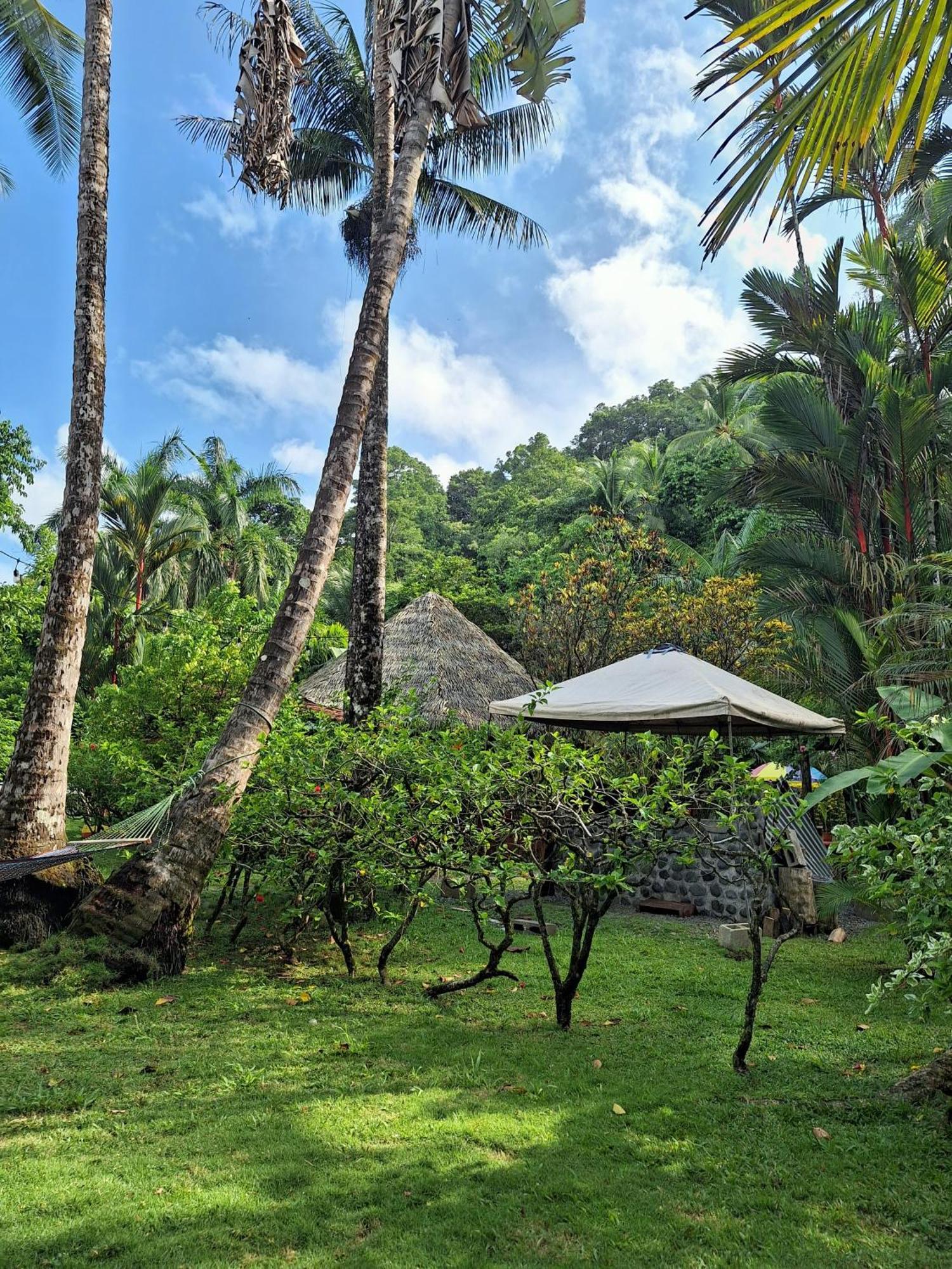 Hotel Rancho Burica à Pavones  Extérieur photo